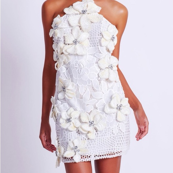 PatBO Dresses & Skirts - PatBo White and cream Floral Appliqué Lace Mini Dress